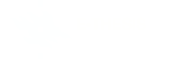 E-thesis / Helsingin yliopisto